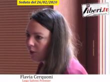 Flavia Cerquoni - Seduta del Consiglio Municipale Roma VII del 26/02/2020. Parte 2 di 2 (Seconda conv. del 25/02/20)