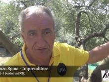 Intervista a Vincenzo Spina - I sentieri dell'Olio 